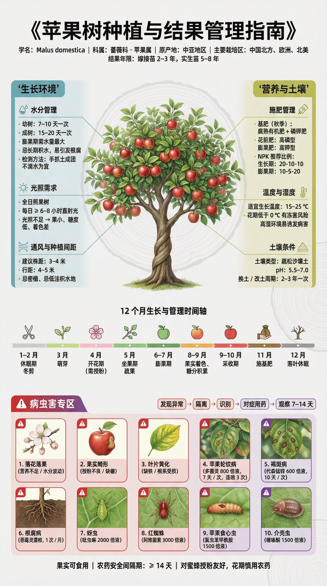 Apple Tree Infographic Poster