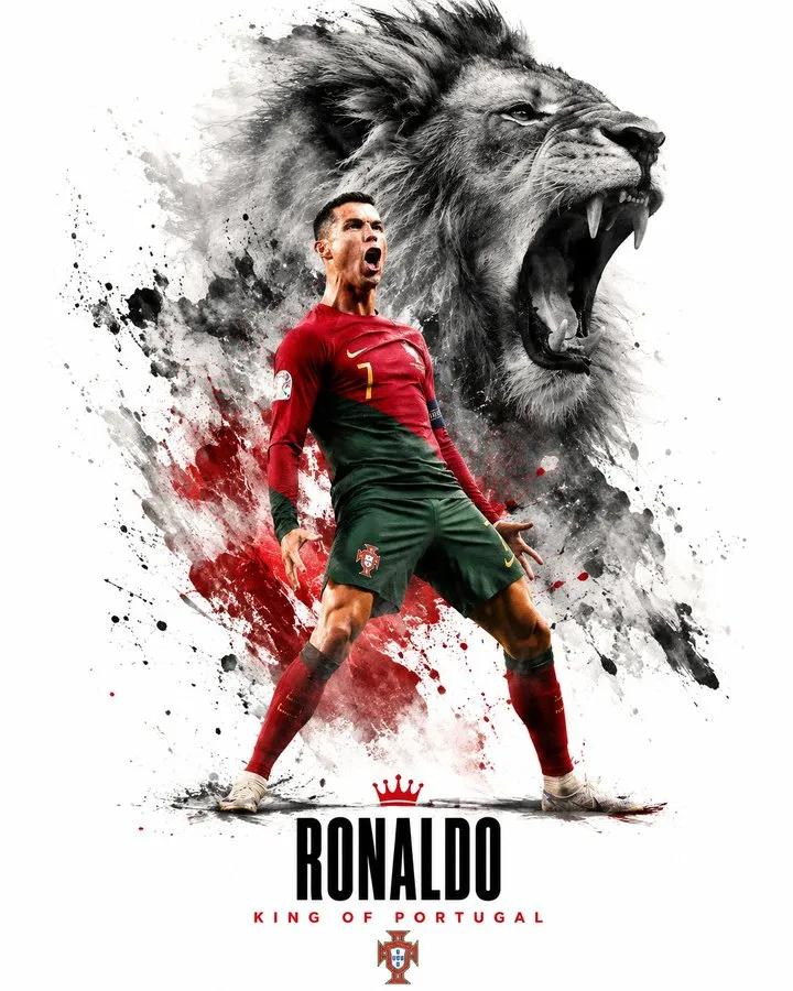 Spirit Animal Sports Poster