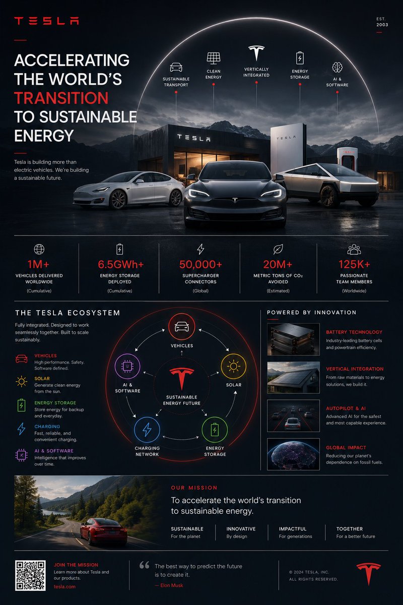 Tesla Ecosystem Infographic Poster